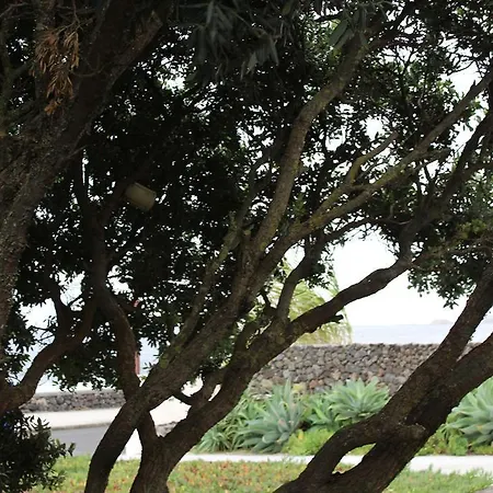 Holiday home Casa Da Arvore Alojamento Local 449 *