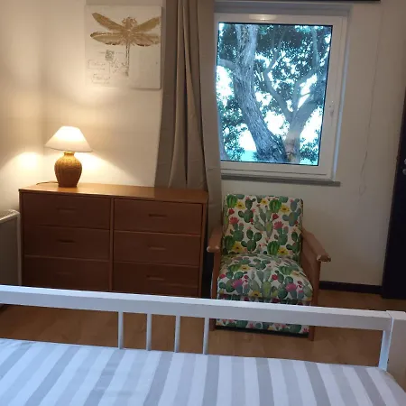 Prázdninový dům Casa Da Arvore Alojamento Local 449 *